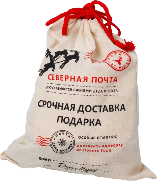 Оригинальный мешок Северная почта